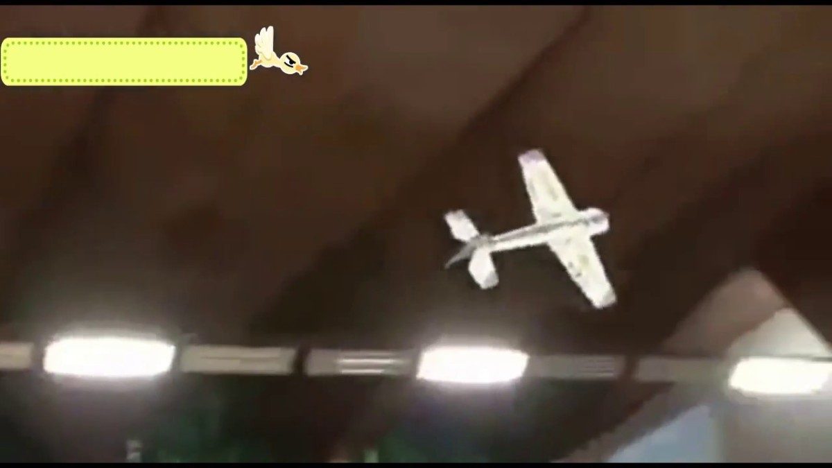Танцевальный самолёт – проект японского школьника, который нарушил все законы аэродинамики (видео)