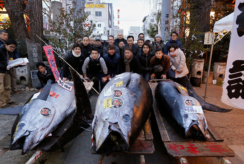 Голубого тунца продали за 323 тысячи долларов на аукционе в Токио