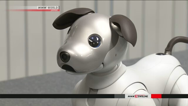Компания Sony предлагает новую модель знаменитого робота-собачки