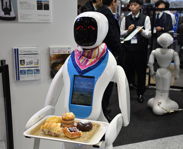 Резидент «Сколково» получит $2 млн на создание классов робототехники в Японии