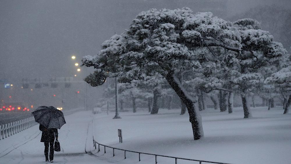 Посетители города на севере Японии любуются ледяным занавесом