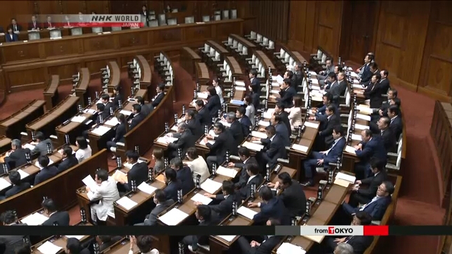 В Японии принят закон о гендерном равенстве в политике