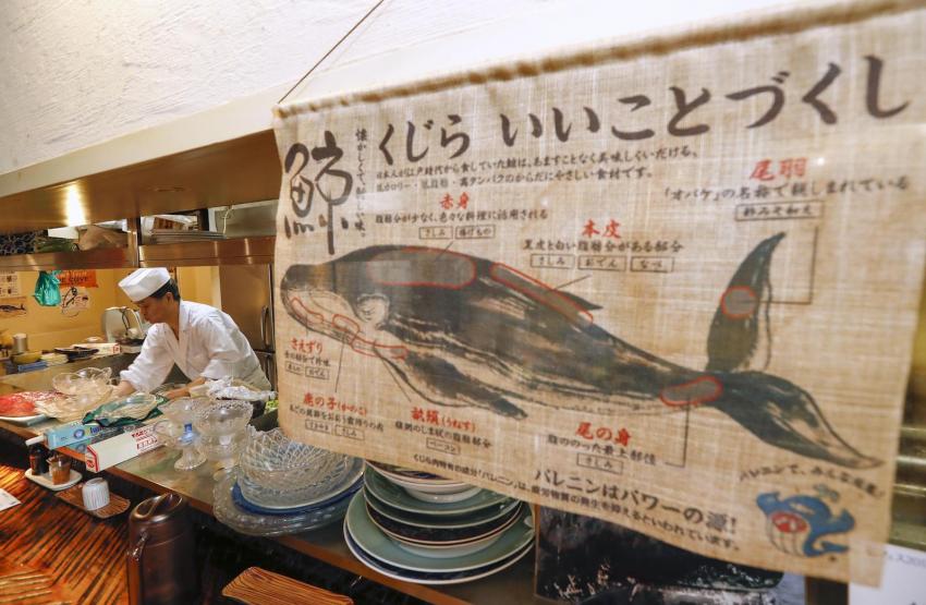 В Японии устанавливают торговые автоматы с китовым мясом