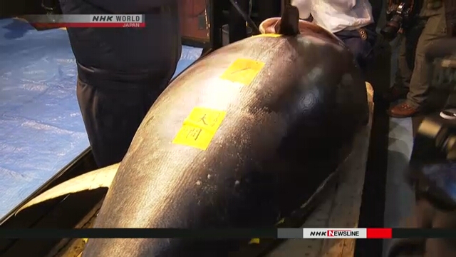 На новогоднем рыбном аукционе тунец побил рекорд стоимости