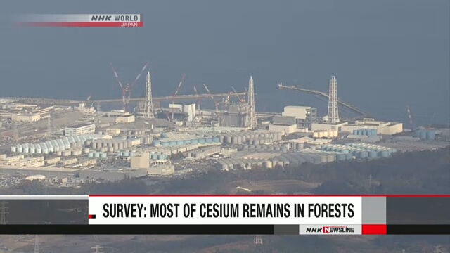 В лесах вокруг аварийной АЭС «Фукусима дай-ити» содержится большая часть цезия