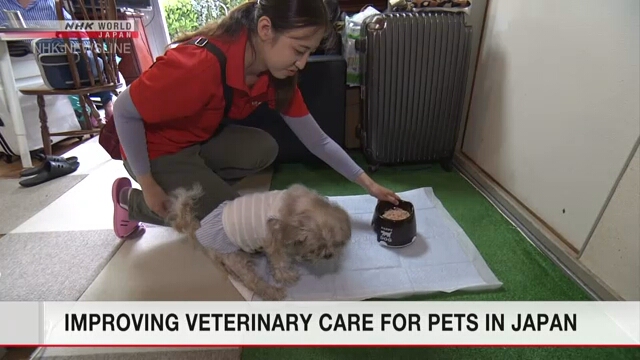 В Японии ветеринарным фельдшерам будут предоставляться гослицензии