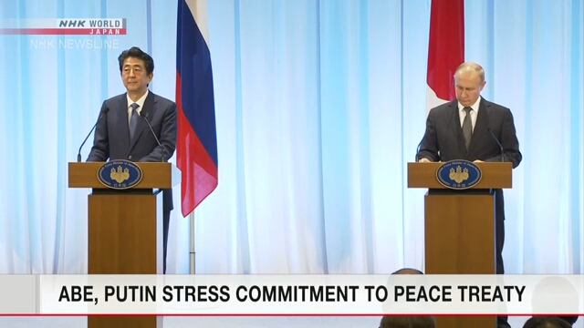 Абэ и Путин подчеркнули желание заключить мирный договор между Японией и Россией