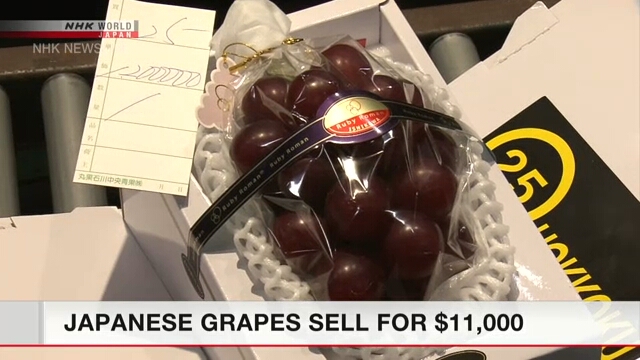 На аукционе в центральной Японии виноград был продан по рекордно высокой цене