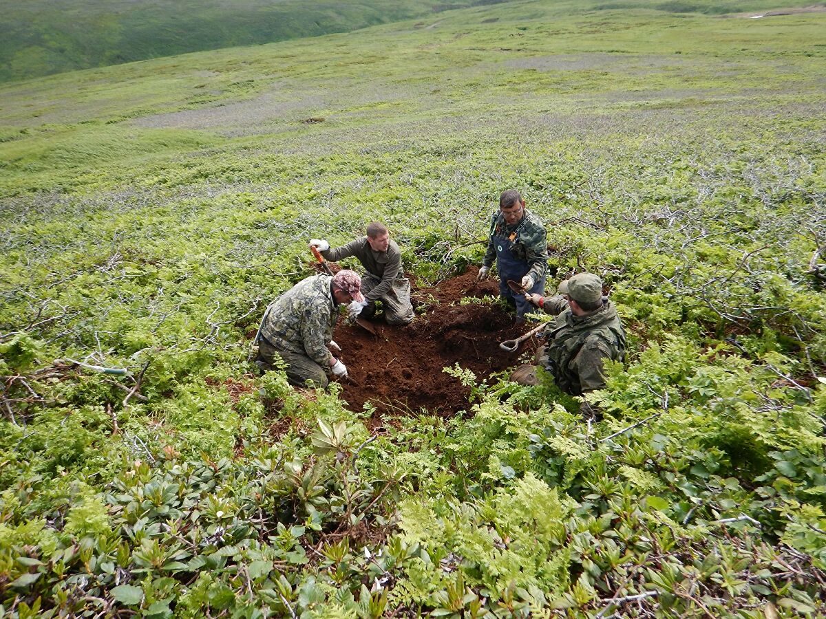 Поисковики нашли на острове Шумшу останки советских и японских солдат