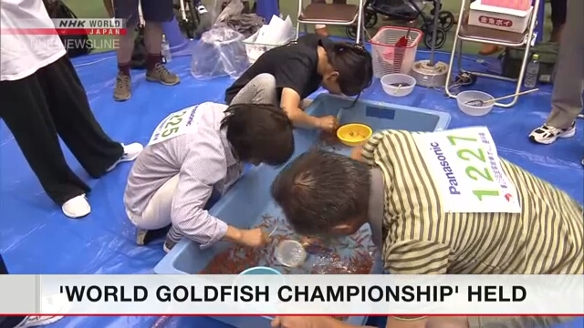 В префектуре Нара состоялось состязание по лову золотых рыбок