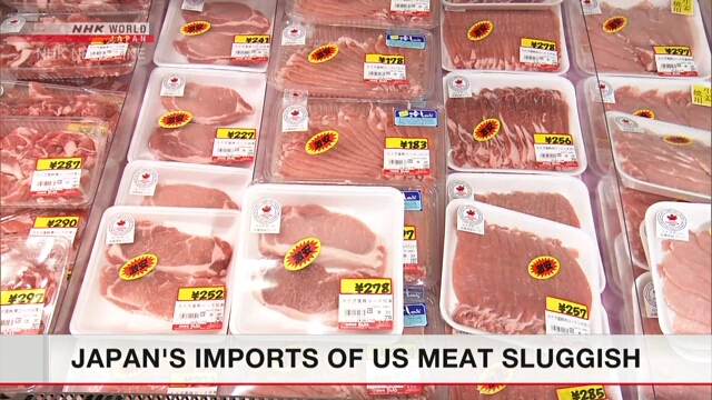 Статистика свидетельствует о сокращении японского импорта мясной продукции из США
