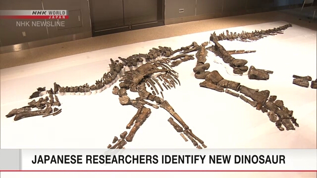 Самому крупному найденному в Японии динозавру дали название