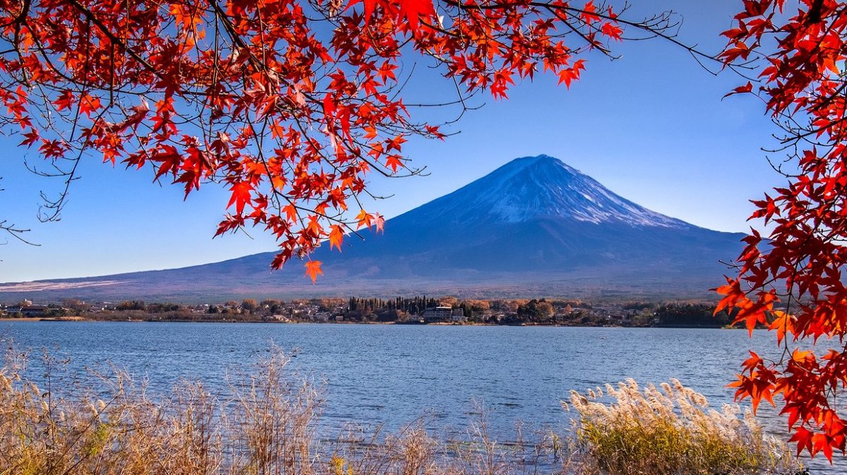 В долине Окуцукэй в японской префектуре Окаяма наступил пик красочной осенней листвы