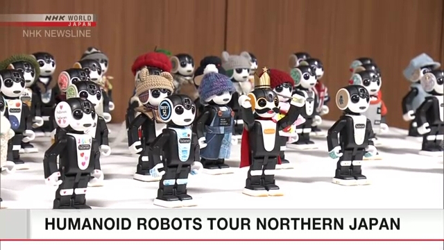 Человекоподобные роботы стали туристами на севере Японии