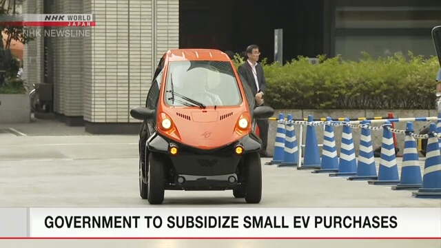 Правительство Японии планирует субсидировать покупку небольших электромобилей
