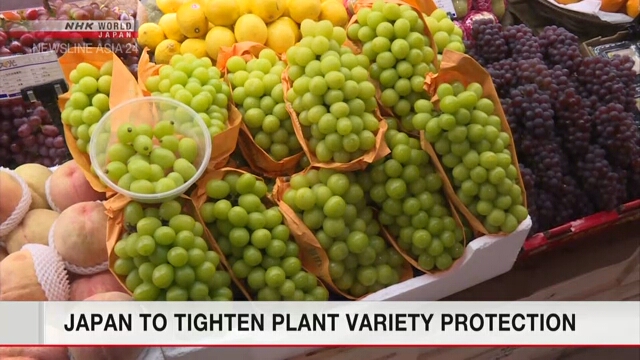 Япония собирается усилить защиту новых сортов растений