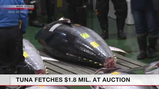 На аукционе в Токио тунец был продан за 1 млн 800 тыс. долларов