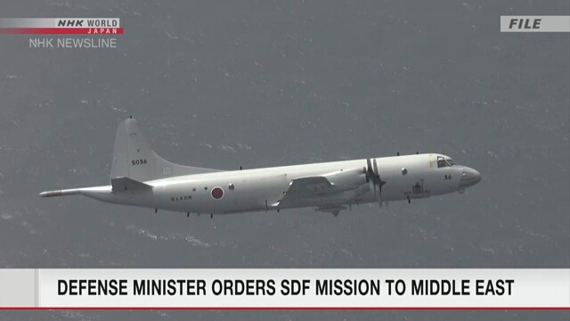 Министр обороны Японии отдал приказ о направлении двух самолетов и эсминца на Ближний Восток