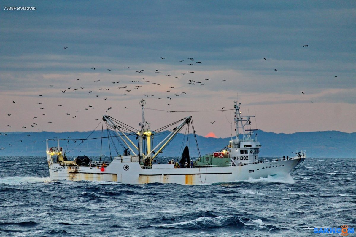 СМИ: японские рыбаки возобновили промысел в водах южных Курил