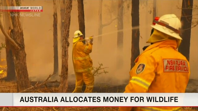Япония готовится оказать помощь Австралии в борьбе с лесными пожарами