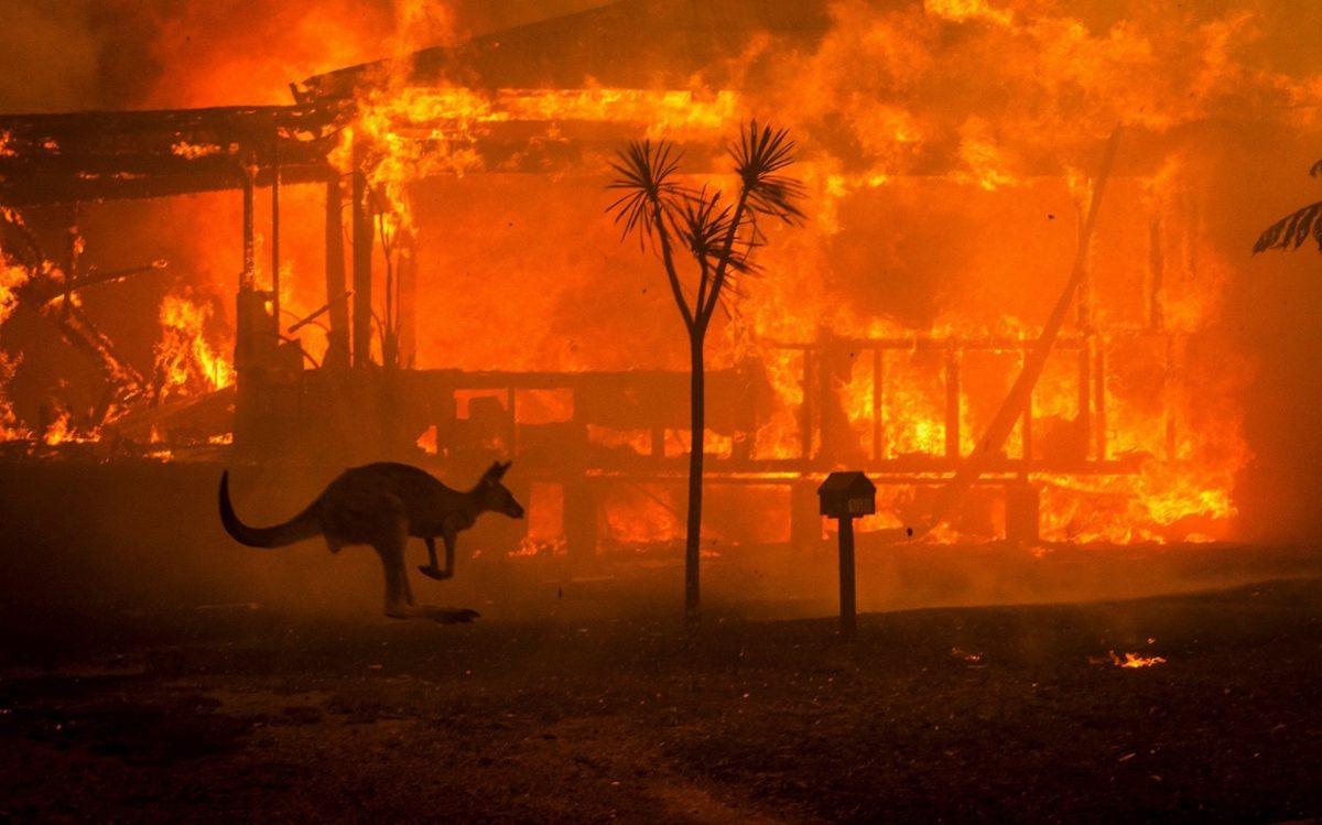 Япония направила отряд Сил самообороны в Австралию для борьбы с лесными пожарами