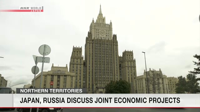 Рабочая группа экспертов из Японии и России обсудила совместные экономические проекты