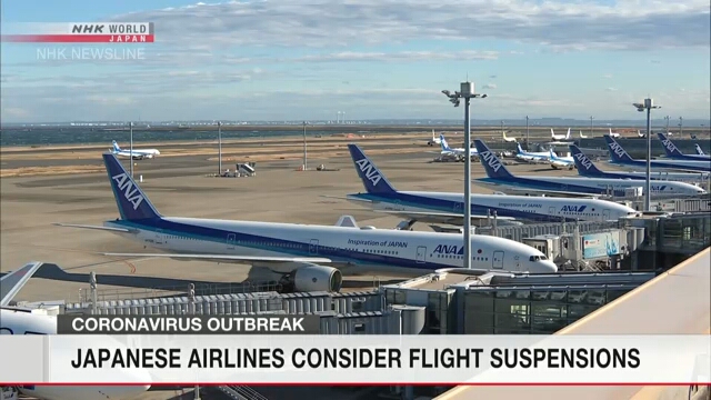 Японские авиакомпании рассматривают возможность приостановки некоторых маршрутов