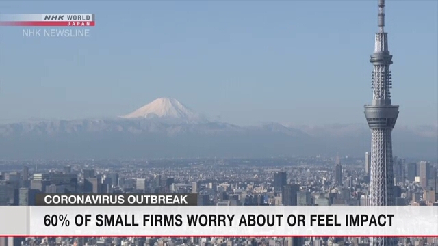 Малые и средние предприятия в Японии обеспокоены последствиями коронавируса