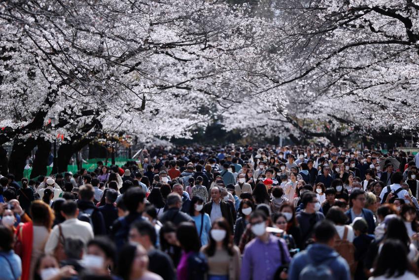 Эксперт предупреждает, что Япония может столкнуться с необходимостью полной изоляции крупных городов