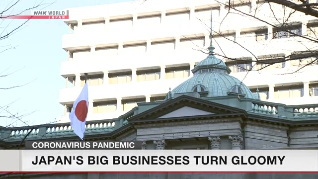 Квартальный отчет Банка Японии указывает на падение деловых настроений в стране