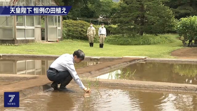 Император Японии высадил рис на дворцовом поле