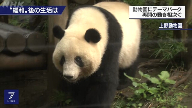Большая панда привлекала внимание посетителей вновь открывшегося зоопарка Уэно