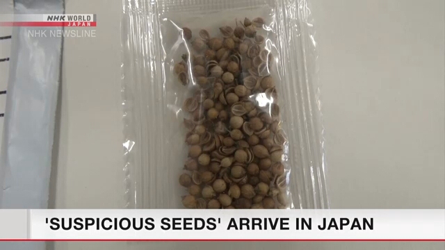 В Японии обнаружены невостребованные посылки с подозрительными семенами