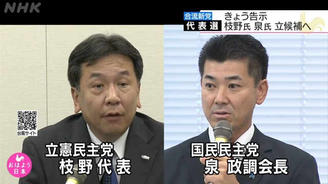В Японии пройдут выборы главы новой оппозиционной партии