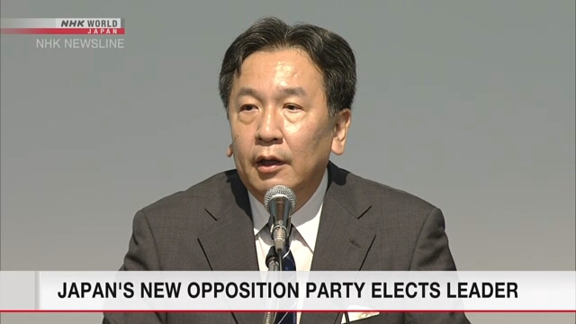 Новая оппозиционная партия Японии выбрала своего лидера