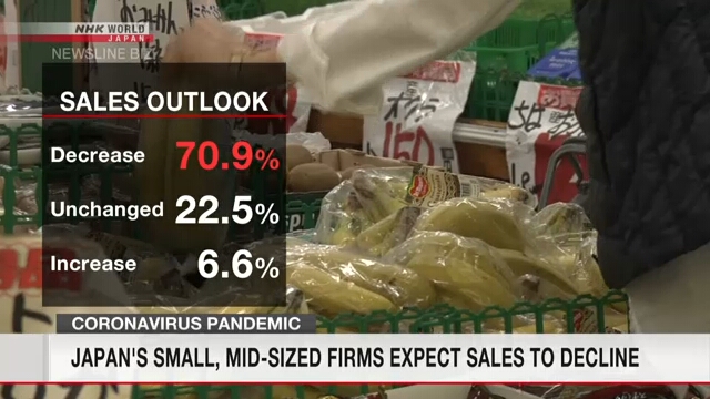Мелкие и средние компании в Японии ожидают дальнейшего снижения объемов продаж