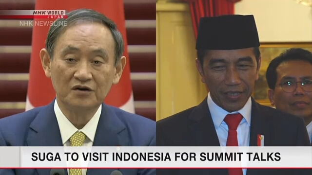 Премьер-министр Японии посетит Индонезию для переговоров