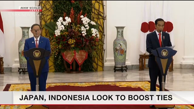 Япония и Индонезия будут укреплять связи