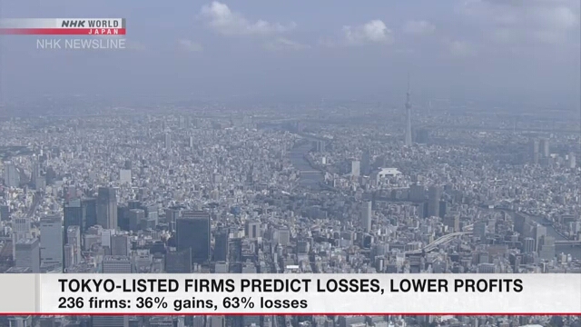 Представленные на Токийской фондовой бирже компании прогнозируют убытки или падение прибылей