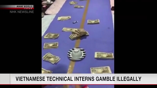Технических стажеров из Вьетнама вовлекают в незаконные азартные игры
