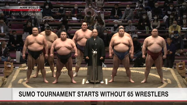 Турнир сумо начался без участия 65 борцов
