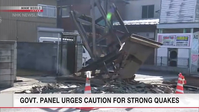 Совет при правительстве Японии выразил опасения о возможности более сильных землетрясений