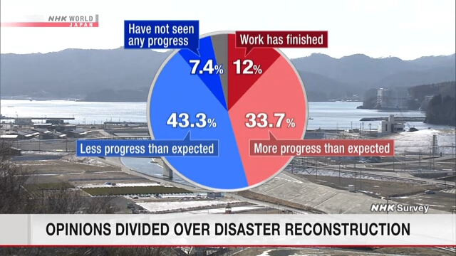 В Японии неоднозначно относятся к восстановлению после стихийных бедствий 2011 года