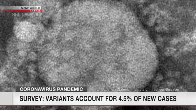 Исследование показало, что 4,5% новых случаев заражения коронавирусом приходится на мутировавшие штаммы