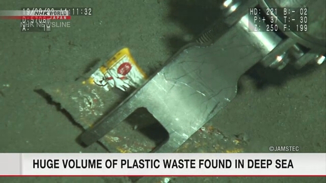 Огромное количество пластикового мусора обнаружено глубоко на дне океана