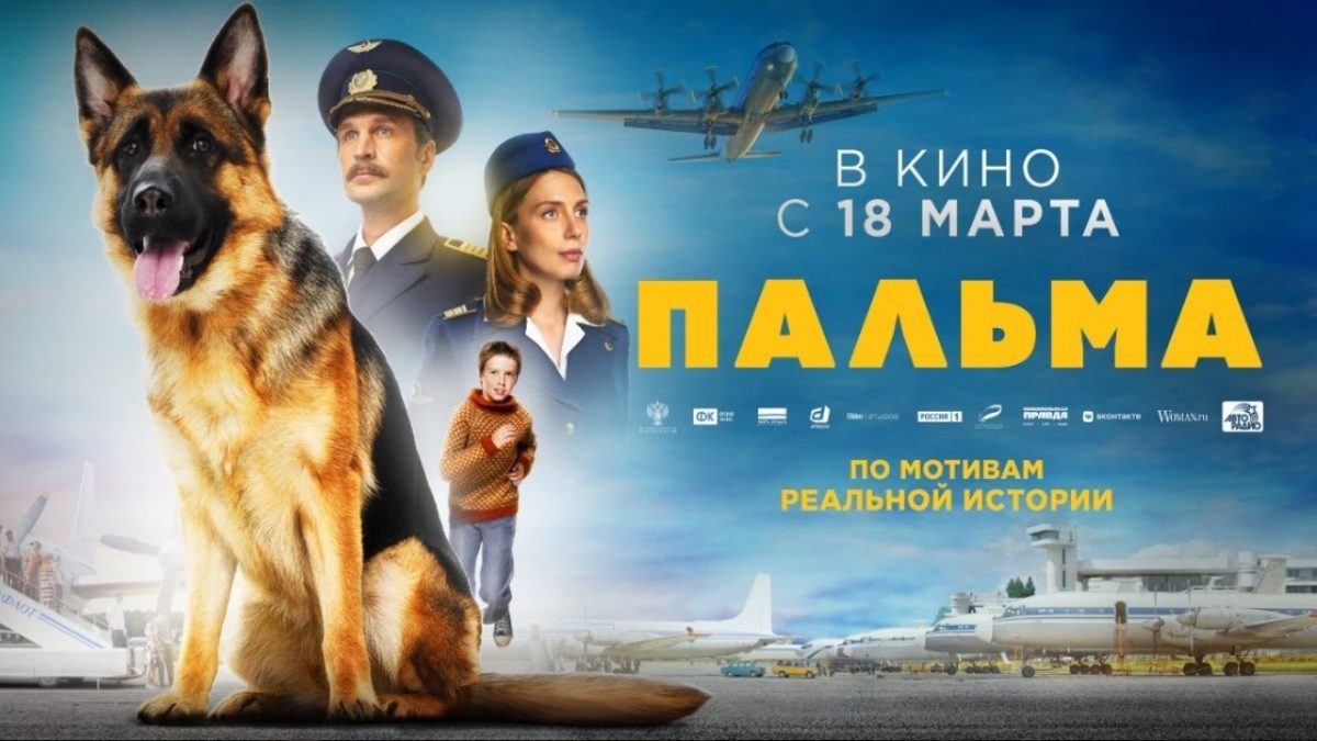На японские киноэкраны выходит новый японо-российский фильм о собаке