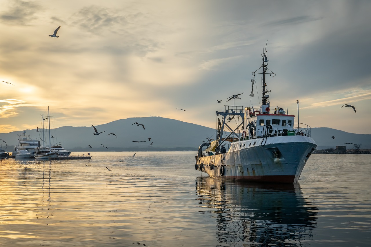 промысел в охотском море