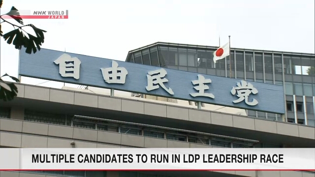 Выборы главы ЛДП пройдут на альтернативной основе