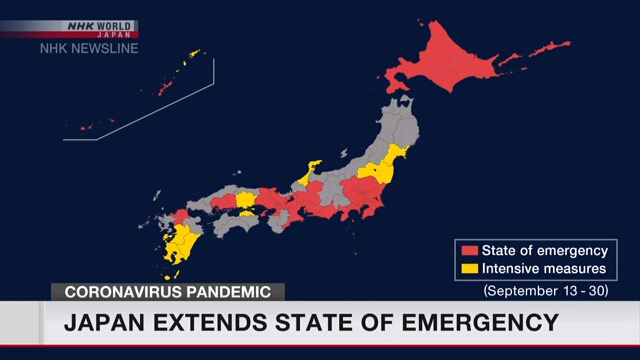 Правительство Японии продлило срок действия режима чрезвычайной ситуации