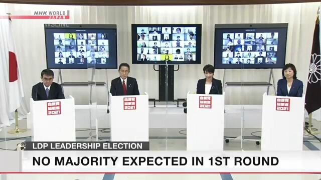 Выборы председателя Либерально-демократической партии Японии, по всей вероятности, пройдут в два тура